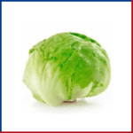 LECHUGA